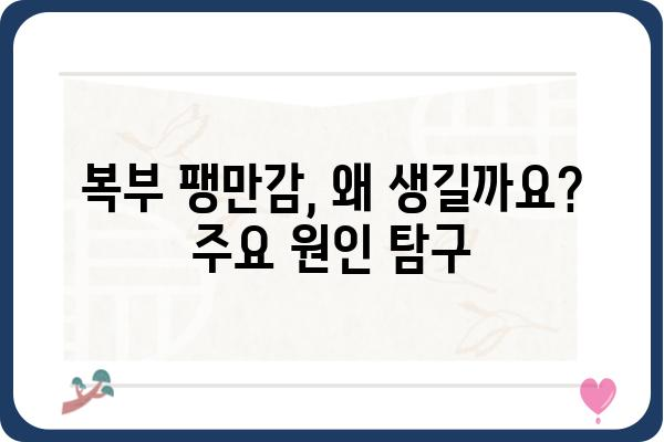 복부 팽만감, 원인과 해결책| 당신의 불편함을 해소하는 7가지 방법 | 소화불량, 가스, 변비, 건강, 식습관