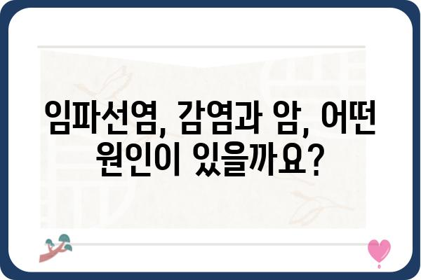 임파선염, 원인과 증상 그리고 치료법 | 림프절 염증, 부어오름, 통증, 감염, 암, 건강 정보