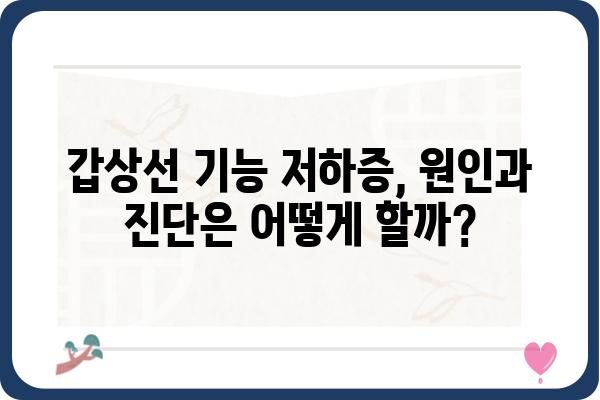 갑상선 기능 저하증 완벽 가이드| 증상, 원인, 치료, 관리까지 | 갑상선, 저하증, 건강