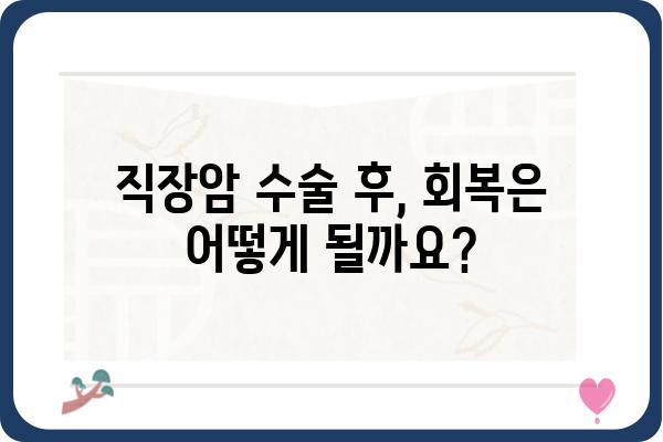 직장류수술| 알아야 할 모든 것 | 직장암, 수술 방법, 회복 과정, 주의 사항, 관련 질환