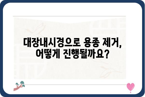 대장용종 수술, 궁금한 모든 것| 종류, 과정, 후기까지 | 대장내시경, 용종 제거, 수술 후 관리