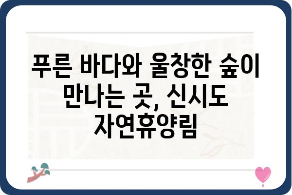 신시도 자연휴양림| 힐링 가득한 숲 속 여행 | 충남 서천, 자연휴양림, 캠핑, 산책, 등산