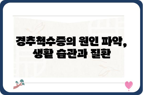 경추척수증 이해하기| 증상, 원인, 치료 및 예방 | 목 통증, 팔 저림, 신경 손상