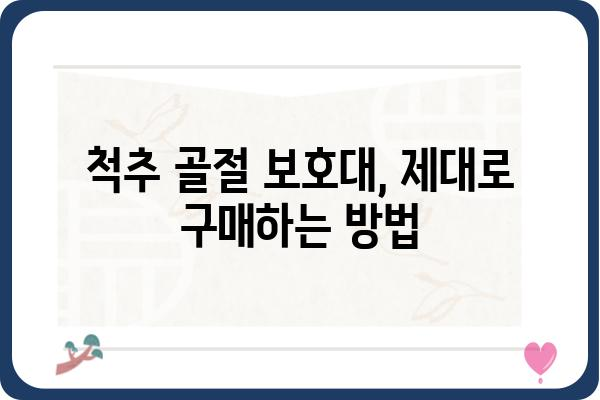 척추 골절 보호대 선택 가이드| 나에게 맞는 보호대 찾기 | 척추 골절, 보호대 종류, 구매 가이드, 착용법