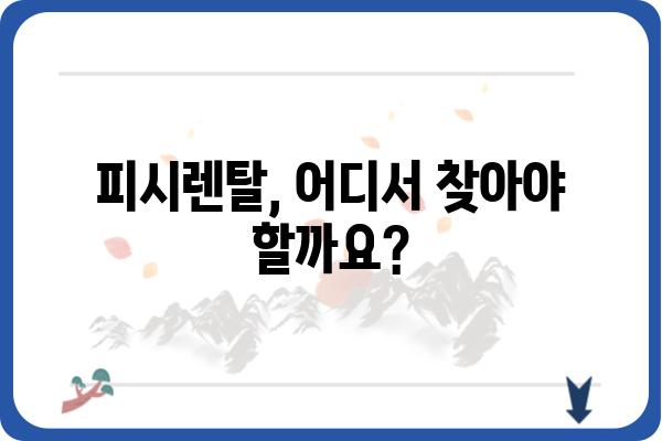 피시렌탈, 어디서 어떻게 찾아야 할까요? | 피시렌탈, 렌탈 정보, 가격 비교, 추천