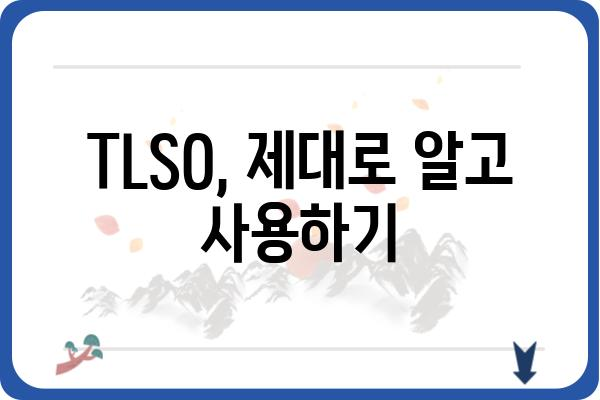 TLSO 허리보조기 종류별 특징 비교 가이드 | 허리 통증 완화, 척추 지지, 보조기 선택 팁