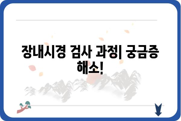 장내시경 검사, 궁금한 모든 것! | 장내시경 종류, 준비 과정, 결과 해석, 주의사항