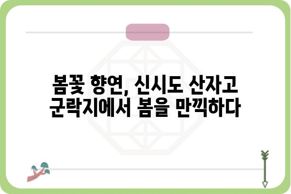 군산 신시도 산자고 군락지, 봄의 아름다움을 만나다 | 군산 가볼만한곳, 봄꽃 명소, 산자고 꽃