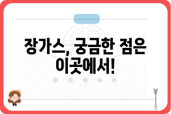 장가스, 이렇게 찾고 사용하세요| 종류별 특징과 활용 가이드 | 가스 종류, 장가스 용도, 안전 정보