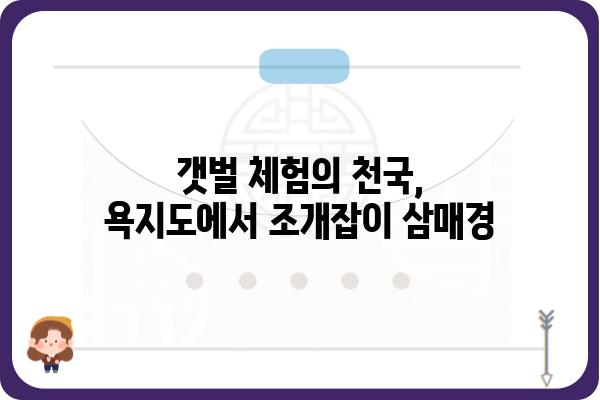 욕지도 해루질 명당 & 팁| 갯벌 체험부터 맛집까지 완벽 가이드 | 욕지도 여행, 갯벌 체험, 해루질, 맛집, 조개잡이