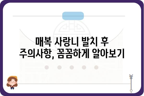 매복사랑니, 뽑아야 할까요? 말아야 할까요? | 매복 사랑니, 발치, 치과, 통증, 치료, 관리