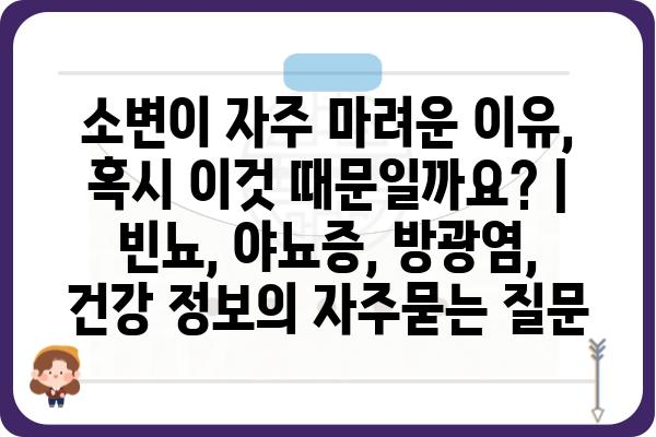 소변이 자주 마려운 이유, 혹시 이것 때문일까요? | 빈뇨, 야뇨증, 방광염, 건강 정보