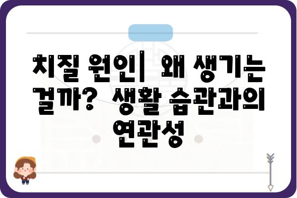 치질 종류 완벽 가이드| 증상과 원인, 치료법까지 | 치핵, 치루, 항문 궤양, 치질 증상, 치질 치료