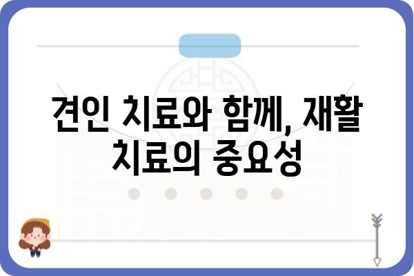 허리디스크 견인 치료, 효과와 부작용 알아보기 | 허리 통증, 디스크, 비수술 치료, 재활