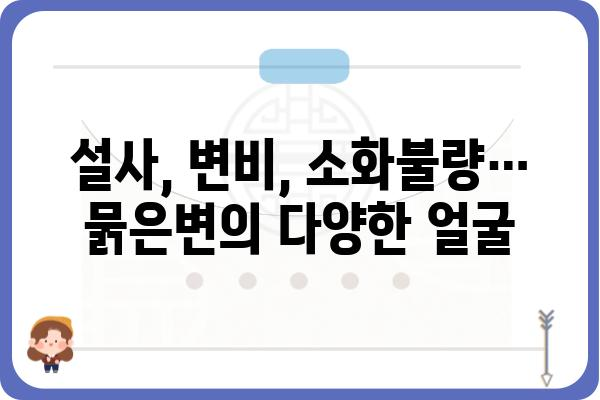 묽은변, 걱정되시나요? 원인과 해결책 알아보기 | 설사, 변비, 소화불량, 건강