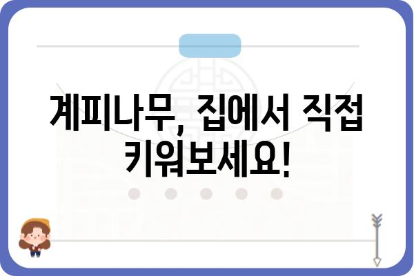 계피나무의 모든 것| 재배부터 효능까지 | 계피, 계피나무 키우기, 계피 효능, 계피 차, 계피 오일, 계피 요리