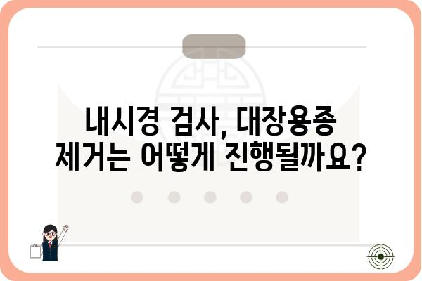 대장용종, 궁금한 모든 것| 증상, 원인, 치료 및 예방 | 대장암, 내시경, 용종 제거