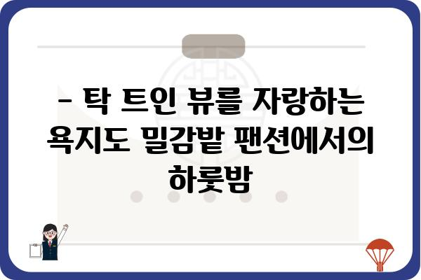 욕지도 밀감밭 한가운데, 힐링을 위한 특별한 팬션 | 욕지도, 밀감밭, 팬션, 숙박, 여행, 뷰, 가족여행, 커플여행