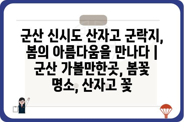 군산 신시도 산자고 군락지, 봄의 아름다움을 만나다 | 군산 가볼만한곳, 봄꽃 명소, 산자고 꽃